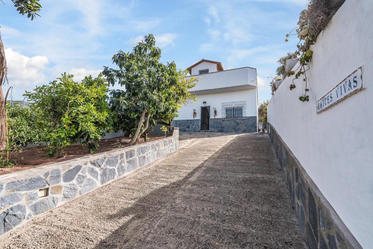 Raices Vivas Vivienda Vacacional Vega de San Mateo Kültér fotó
